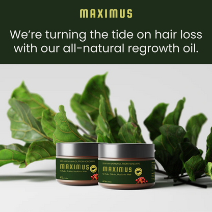 Maximus Batana Oil - Guaranteed Hair Growth from the Roots with Just 4 Applications a Week