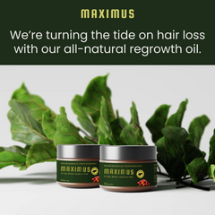 Maximus™ Batana Oil - For Hair Growth from the Roots